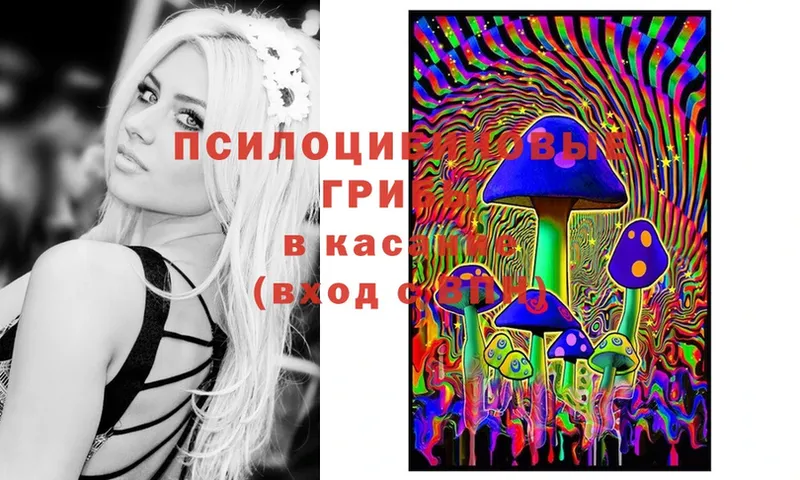 Галлюциногенные грибы Magic Shrooms  Реутов 